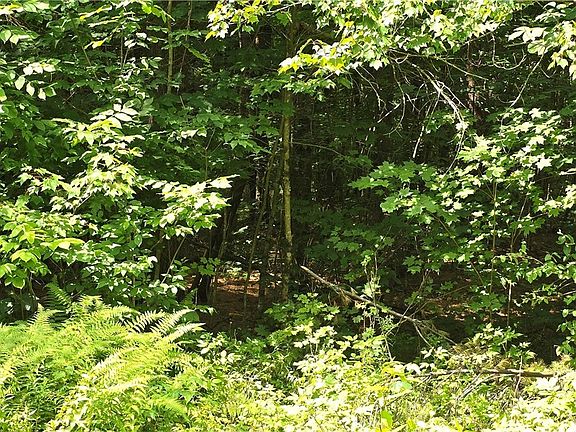 2nd image of Stone Rd Lot 2