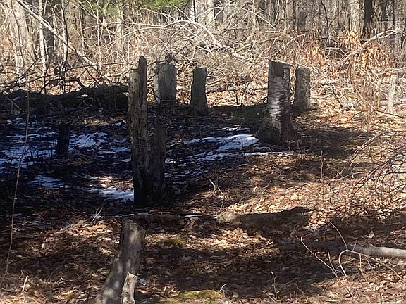 4th image of 0 Potter Mountain Rd #6