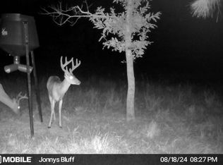 12552 McNair Rd, Roxie, MS 39661