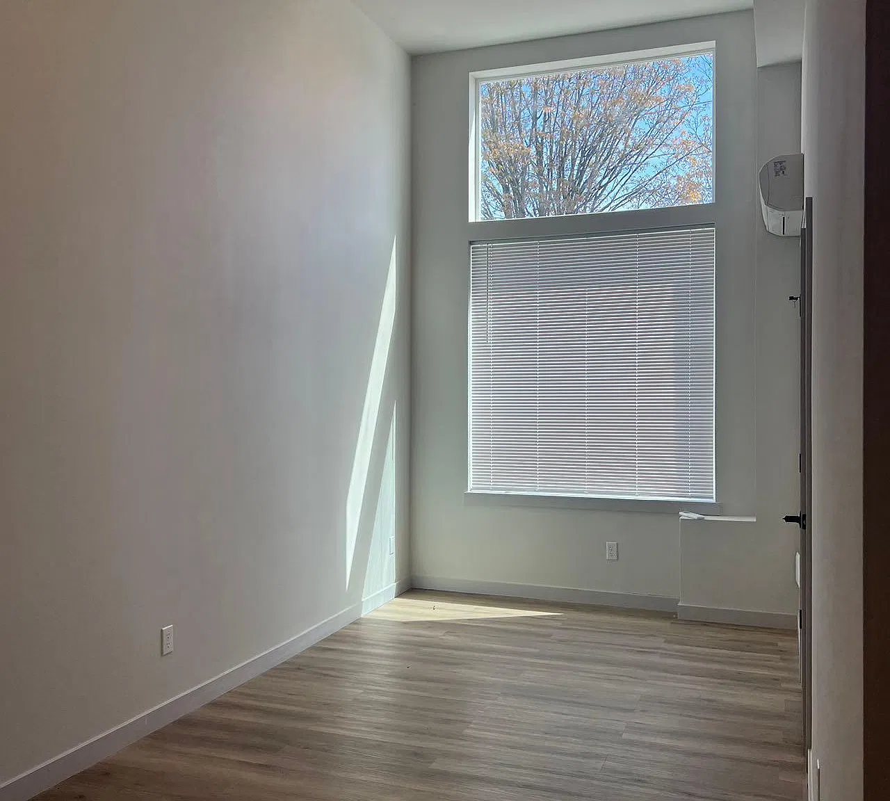 Studio, 417 sqft, $1,100 — Photo 1