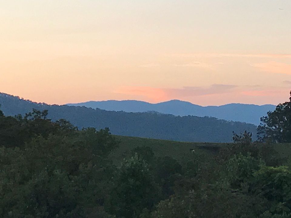 Short and long range views