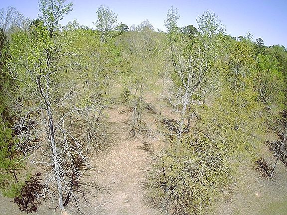 Drone Street View 