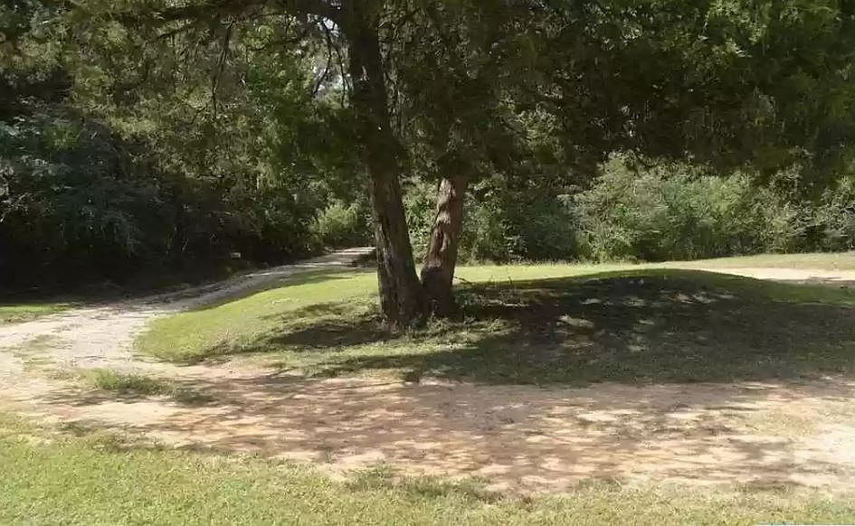 2nd image of 261 Pickle Dr
