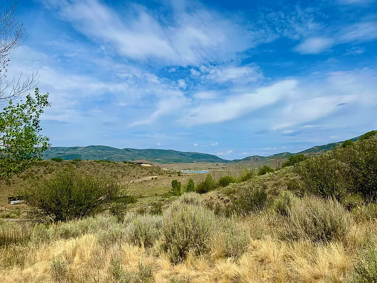 31125 Corral Dr — Photo 35