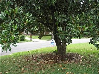 1st image of 343 Southland Dr