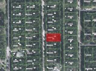 144 Forest St, Georgetown, FL 32139