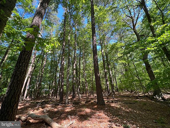 4th image of PARCEL 40 Revells Neck Rd