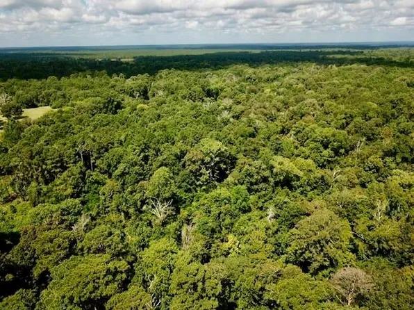 11826/AC S County Road 4190, Woodville, TX 75979