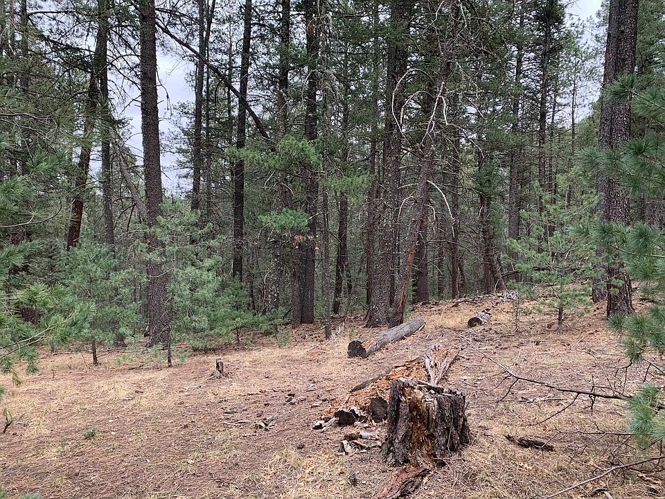 1st image of 48 Cowan Rd