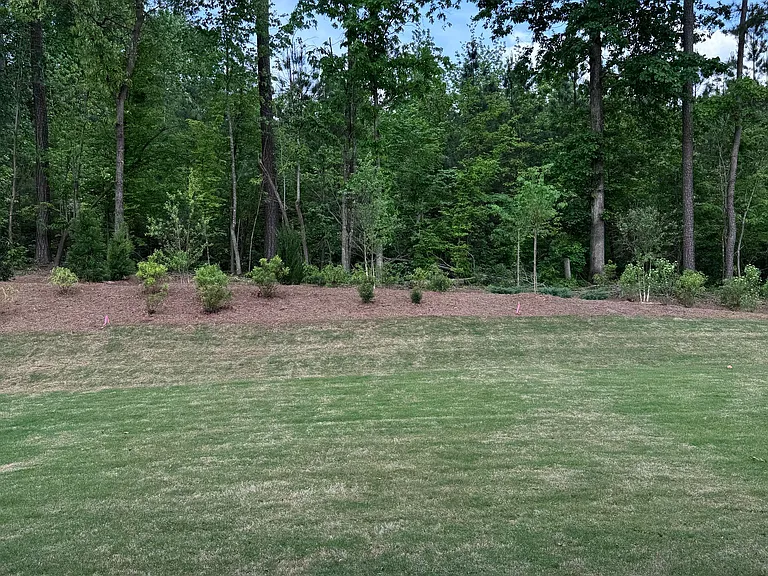 Private and spacious backyard