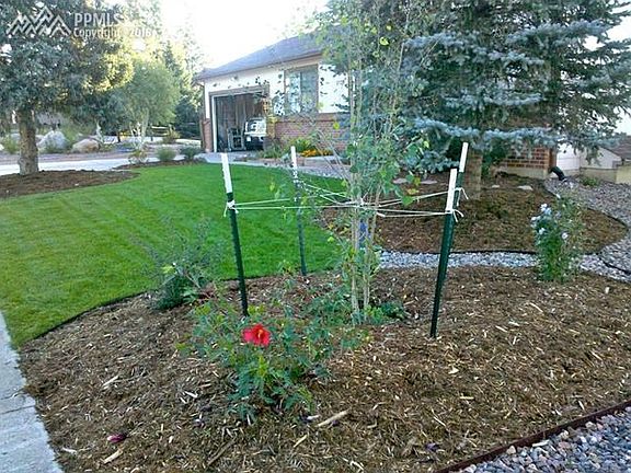 Plenty of greenery in the spring, summer and fall. Back of house also faces bluffs of Palmer Park.