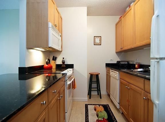 3rd image of 400 N La Salle St #1103