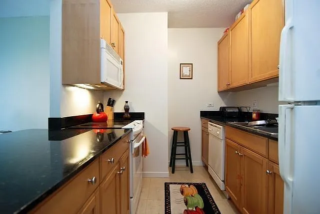 400 N La Salle Dr #1103 — Photo 3