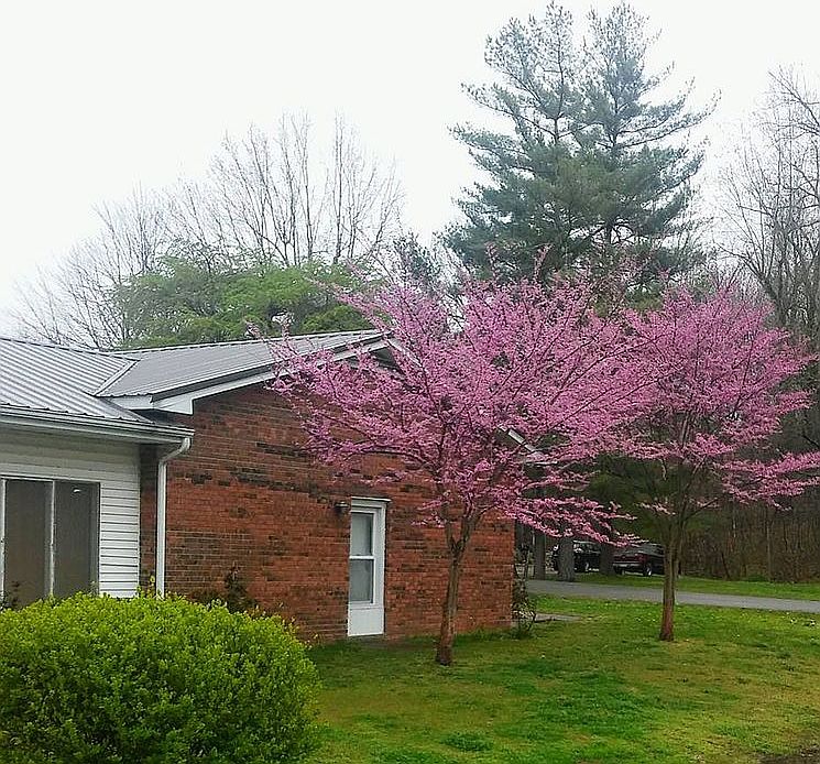 side of house