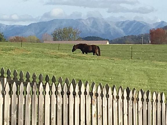 Mountain and pasture views