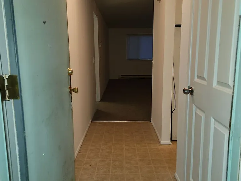 937 Nandina St — Photo 2