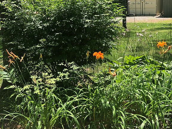 4th image of 1841 East Dr #296