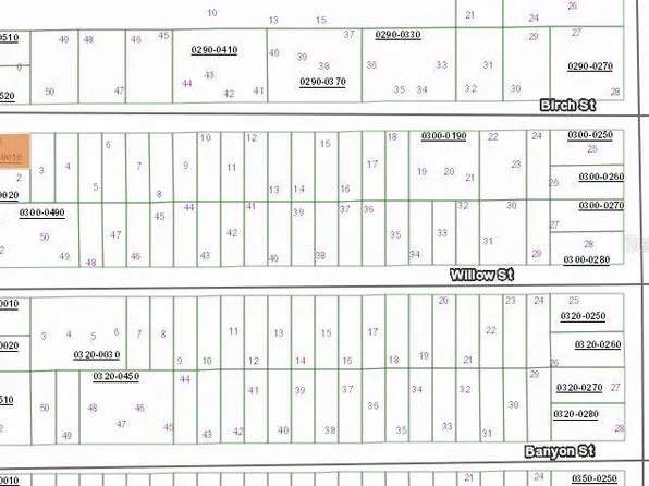 0 Birch St #1-2, Interlachen, FL 32148