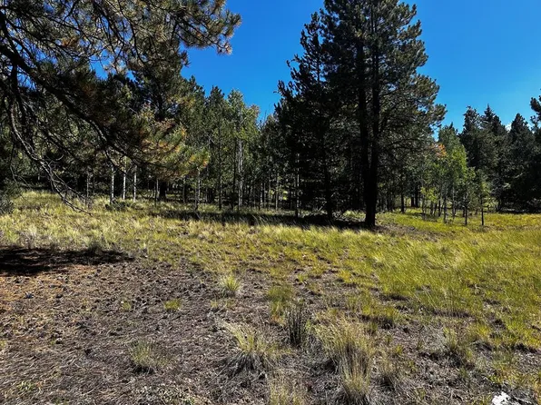 545 Church Creek Dr, South Fork, CO 81154