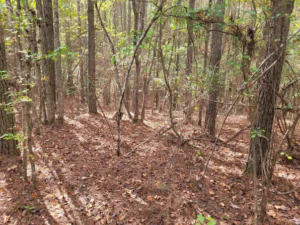 0 Corean Ln, Morris Chapel, TN 38361