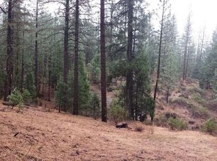 955 Shady Ln, Clio, CA 96106