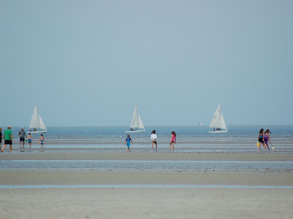 Walk 8 bay beaches @ Low Tide