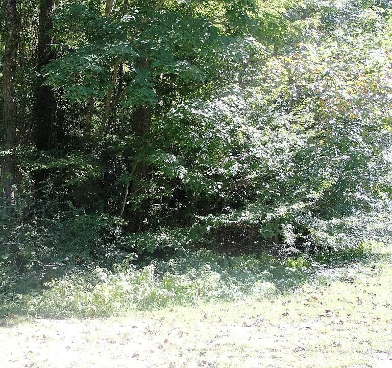 2nd image of 0000112 Old Ironsides Road LOT 9