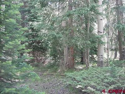 257 Wildflower Drive, Cimarron, CO, 81220