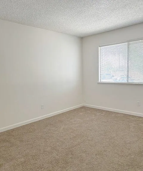 Myrtle Oaks Apartments — Photo 22