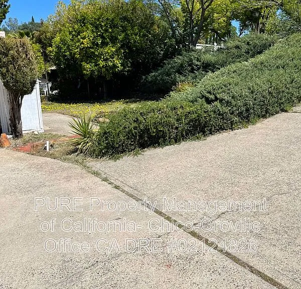 533 Silver Leaf Dr — Photo 22