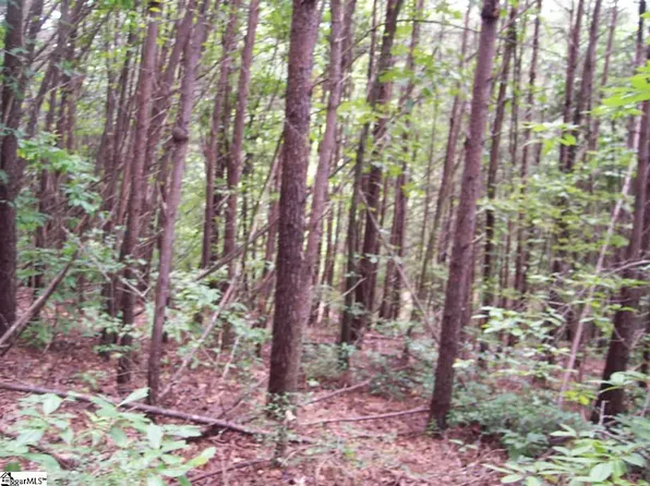 343 Gauley Falls Rd Lot 87, Pickens, SC 29671
