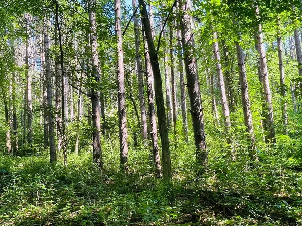 Brown Ln, Pepin, WI 54759