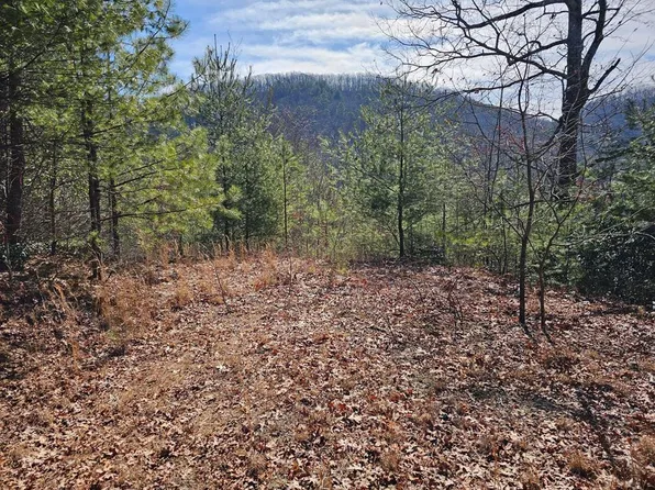 51 Kudzu Creek Trl #51, Murphy, NC 28906