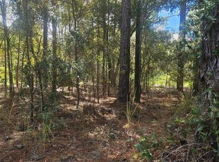 13099 SW 92nd Pl, Dunnellon, FL 34432