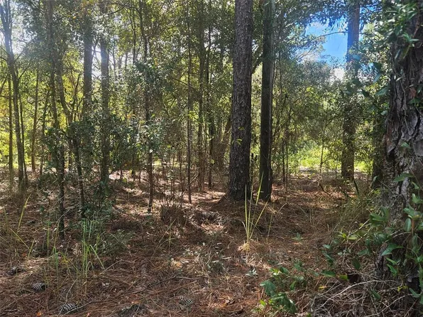 13099 SW 92nd Pl, Dunnellon, FL 34432