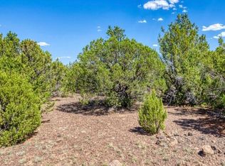 84 County Road 3133 85 N, Vernon, AZ 85940