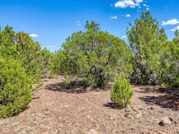 84 COUNTY ROAD N3133 Road #85, Vernon, AZ 85940