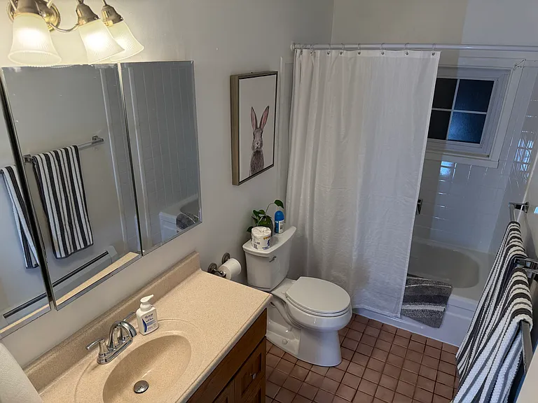 Plumtree Ln — Photo 10