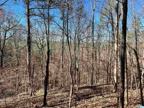 620 Mountain Crest Dr #13/14, Pell City, AL 35128