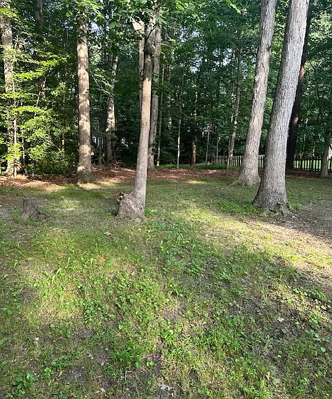 5816 Mill Spring Rd — Photo 4