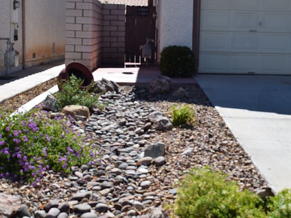 Front Side Yard