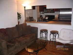 Living/Kitchen area