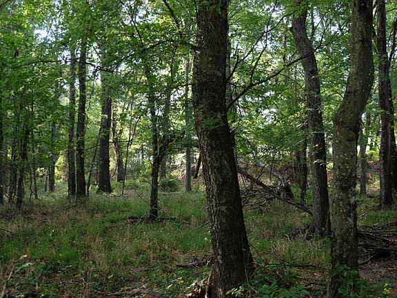 4th image of 000 County Road 1138