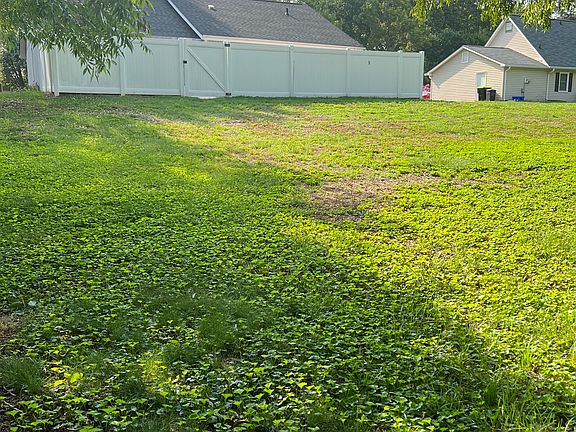 Back yard view 2