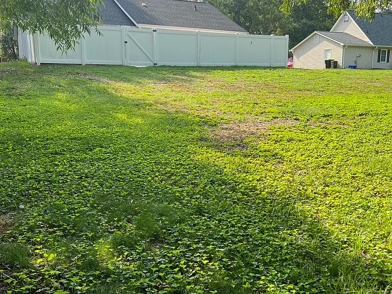 6006 Grey Fox Ln — Photo 3