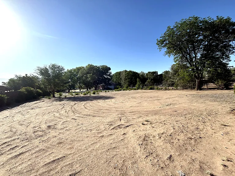 14_Backyard_Wide_06112026