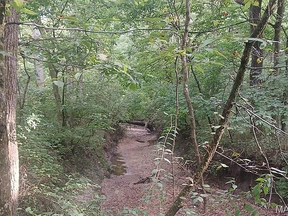 4th image of 0 Silver Creek Rd