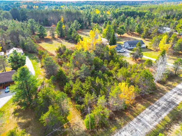 LOT 36 Hodgson Dr, Kawartha Lakes, ON K0M 1C0