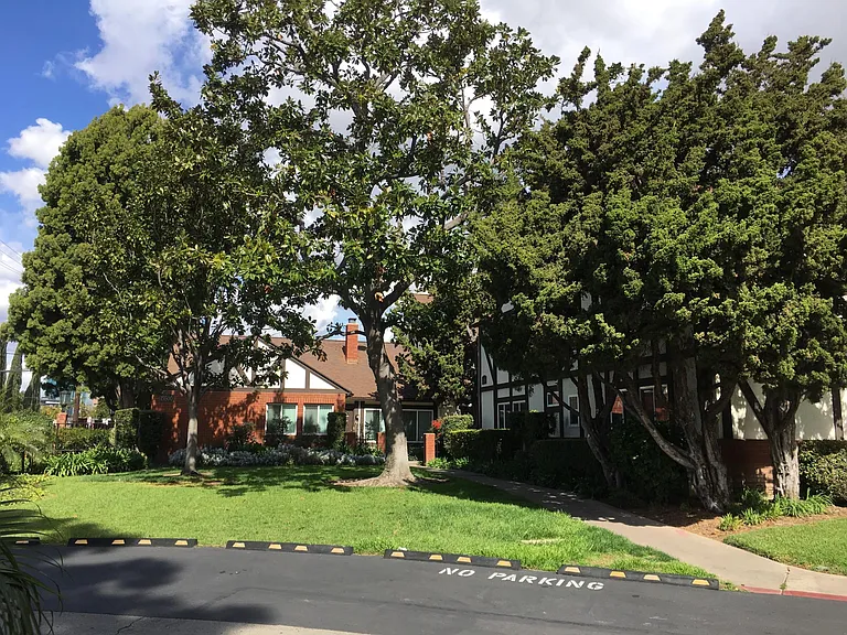 Williams St — Photo 2
