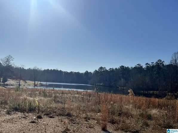 33 Tara Lake Dr #1, Columbiana, AL 35051